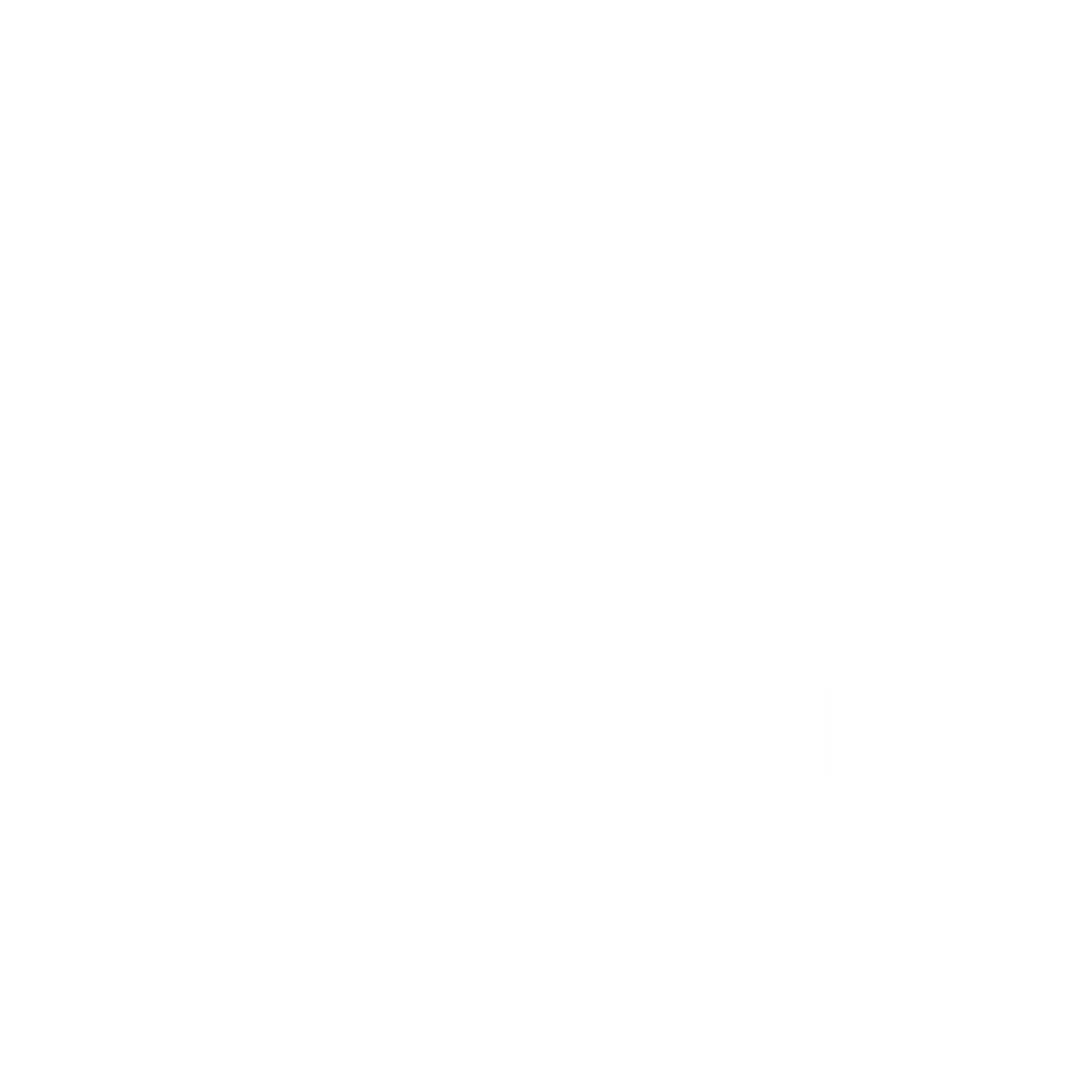 Synder-01